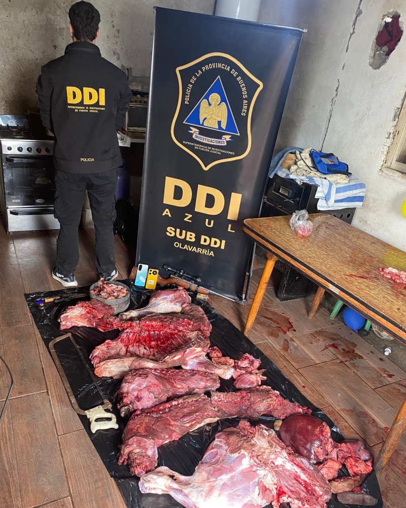 Desarticularon una banda dedicada al abigeato